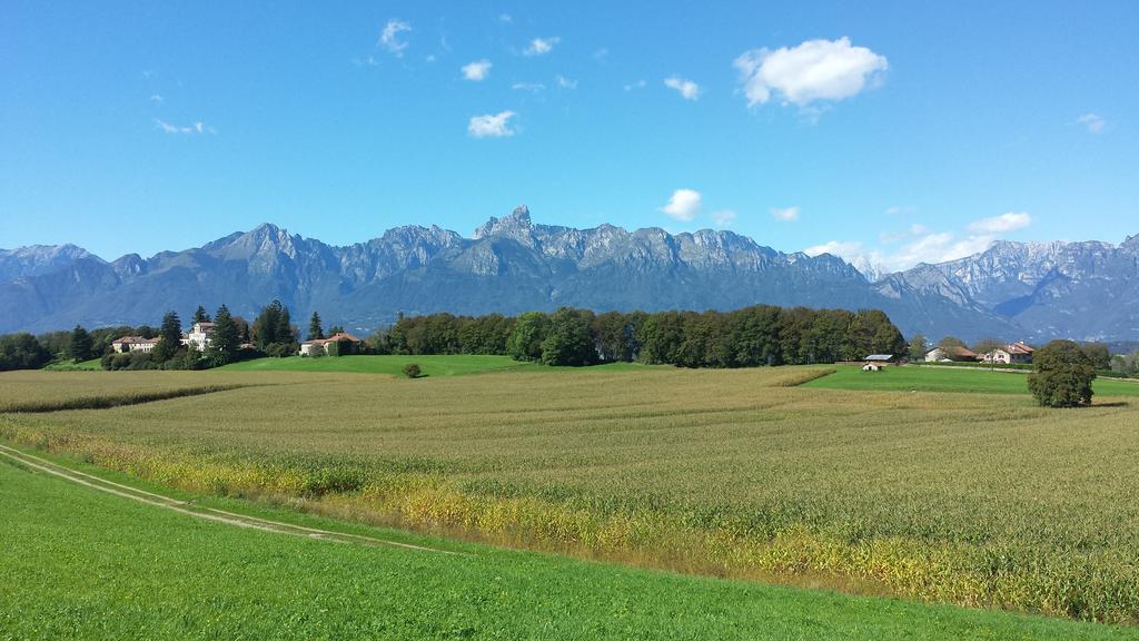 Agriturismo Casteldardo Pensionat Trichiana Eksteriør billede