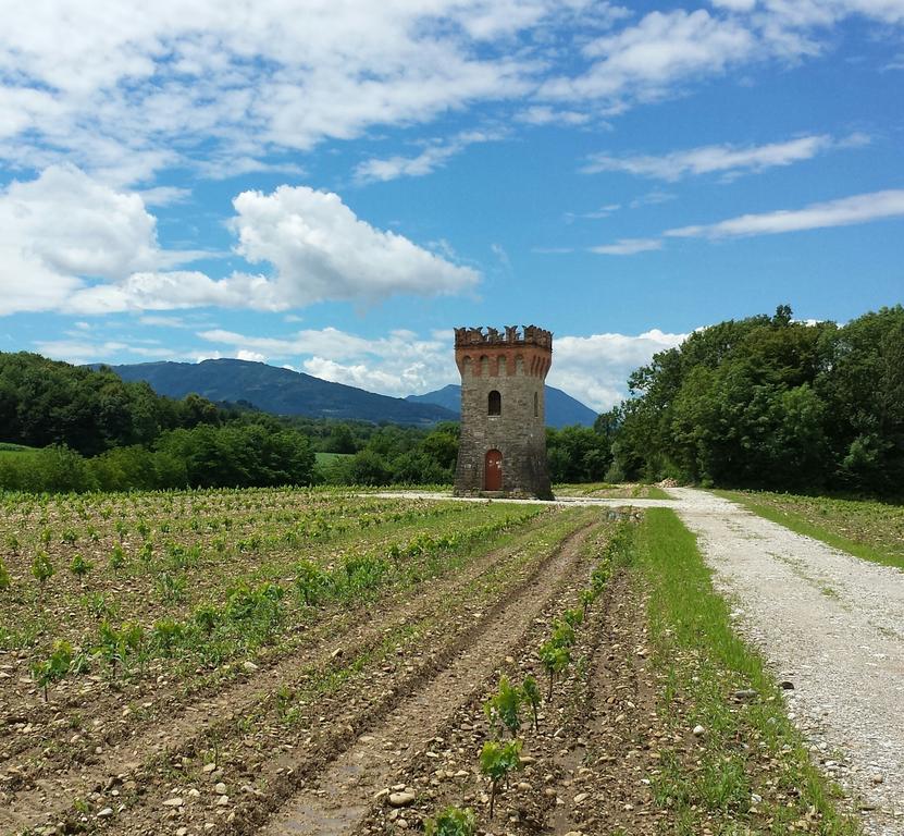 Agriturismo Casteldardo Pensionat Trichiana Eksteriør billede