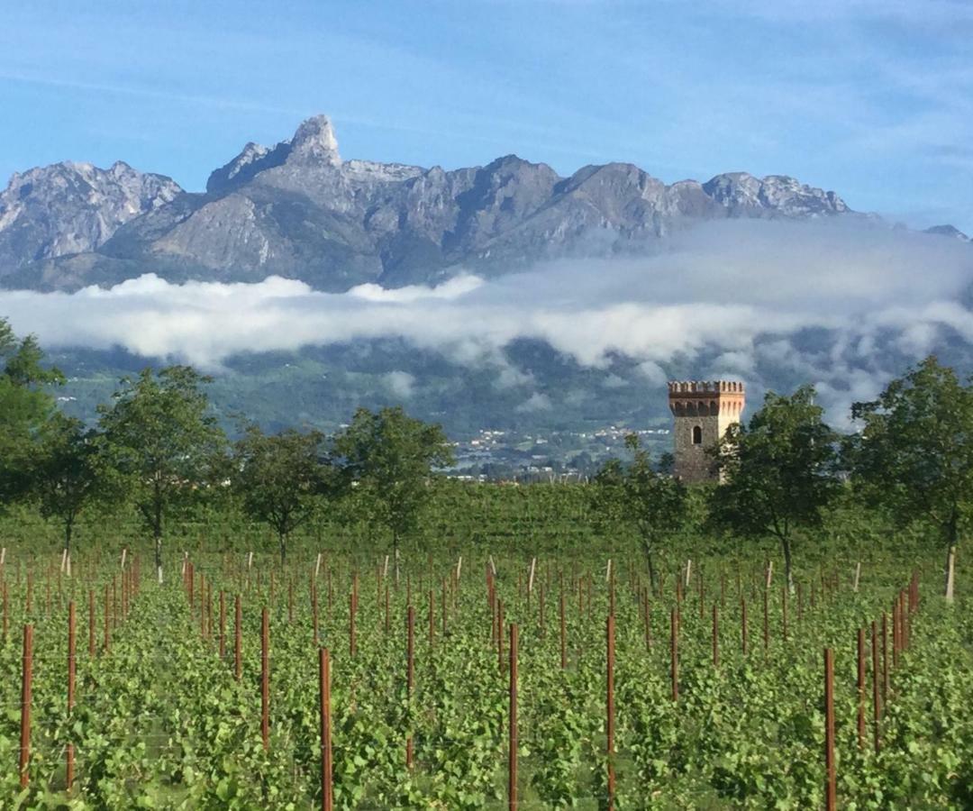 Agriturismo Casteldardo Pensionat Trichiana Eksteriør billede