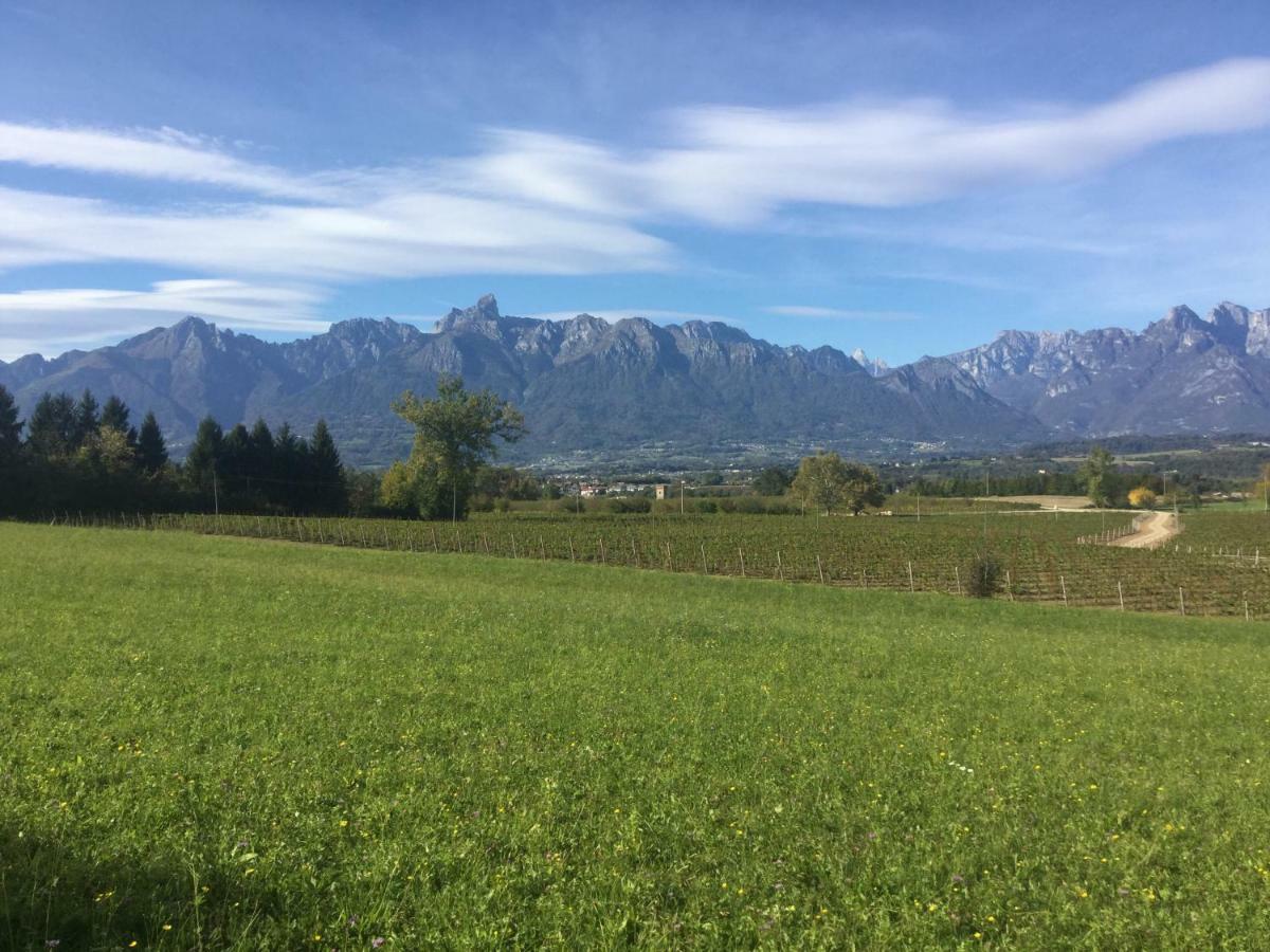 Agriturismo Casteldardo Pensionat Trichiana Eksteriør billede