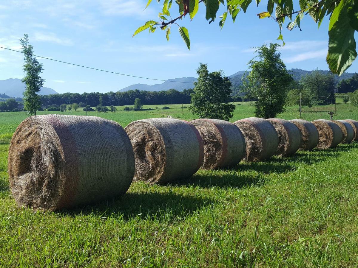 Agriturismo Casteldardo Pensionat Trichiana Eksteriør billede